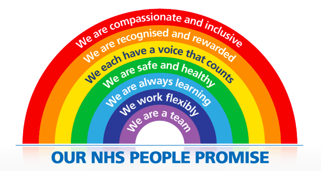 NHS People Plan: your summary